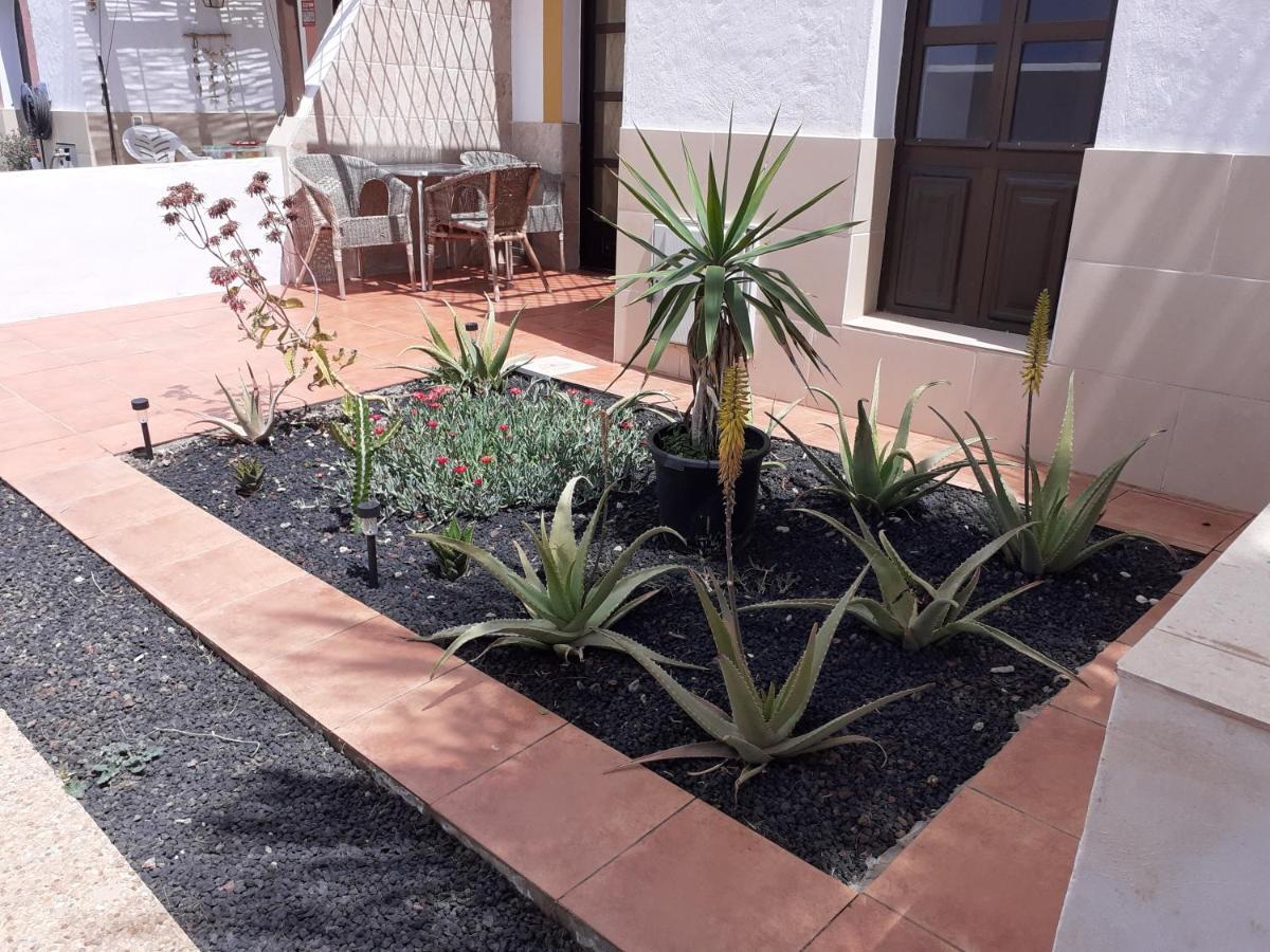 Beautiful Coastline Bungalow Near The Ocean 50 M Lägenhet Costa De Antigua Exteriör bild