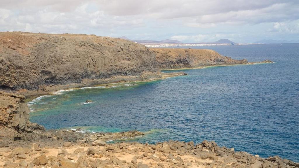Beautiful Coastline Bungalow Near The Ocean 50 M Lägenhet Costa De Antigua Exteriör bild